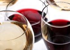 Cuvée Mon Cœur