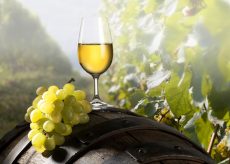 Chardonnay